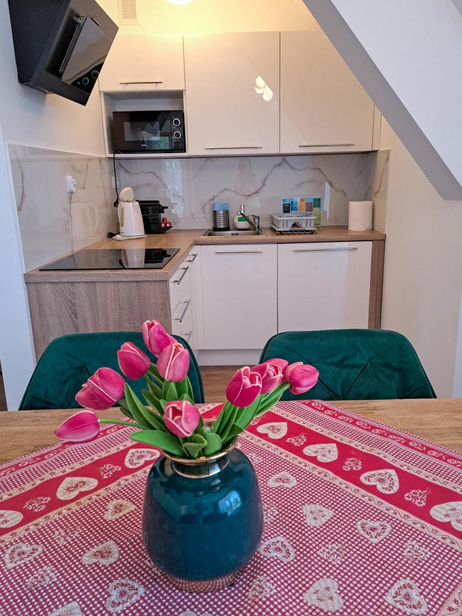 Bory6A Apartamenty & Free Parking Zakopane Exterior foto